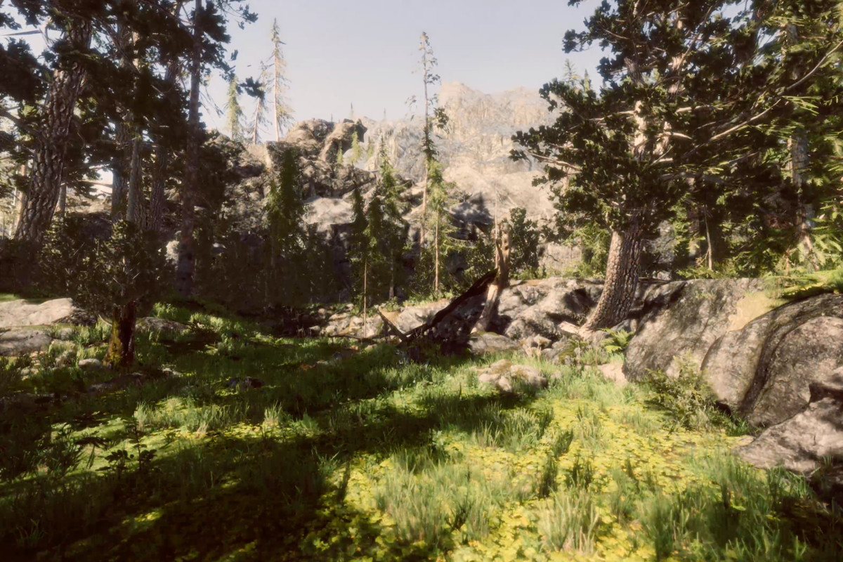 Book of the Dead Forest - URP - Fantasy RPG