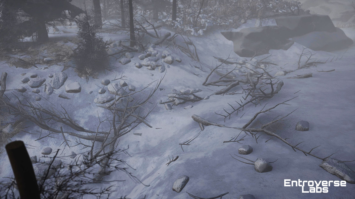 Taiga Biome Environment / Boreal Tundra Forest