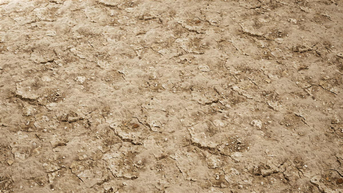 Realistic Materials - Soil 1