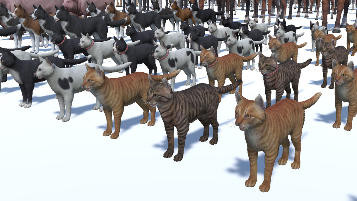 DOMESTIC ANIMAL PACK