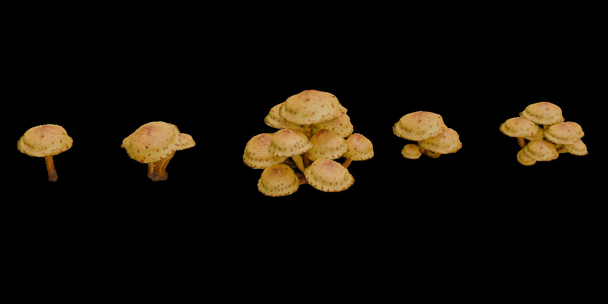 Mushrooms Bundle (62 Prefab + LOD)