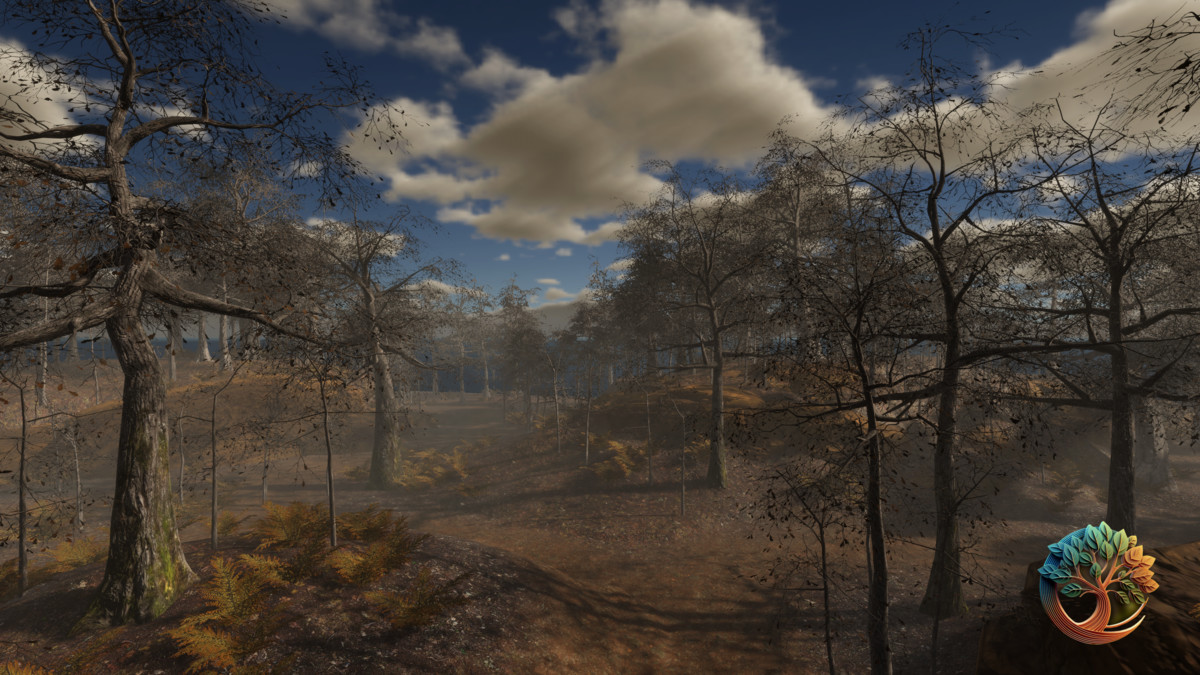 Broadleaf Forest