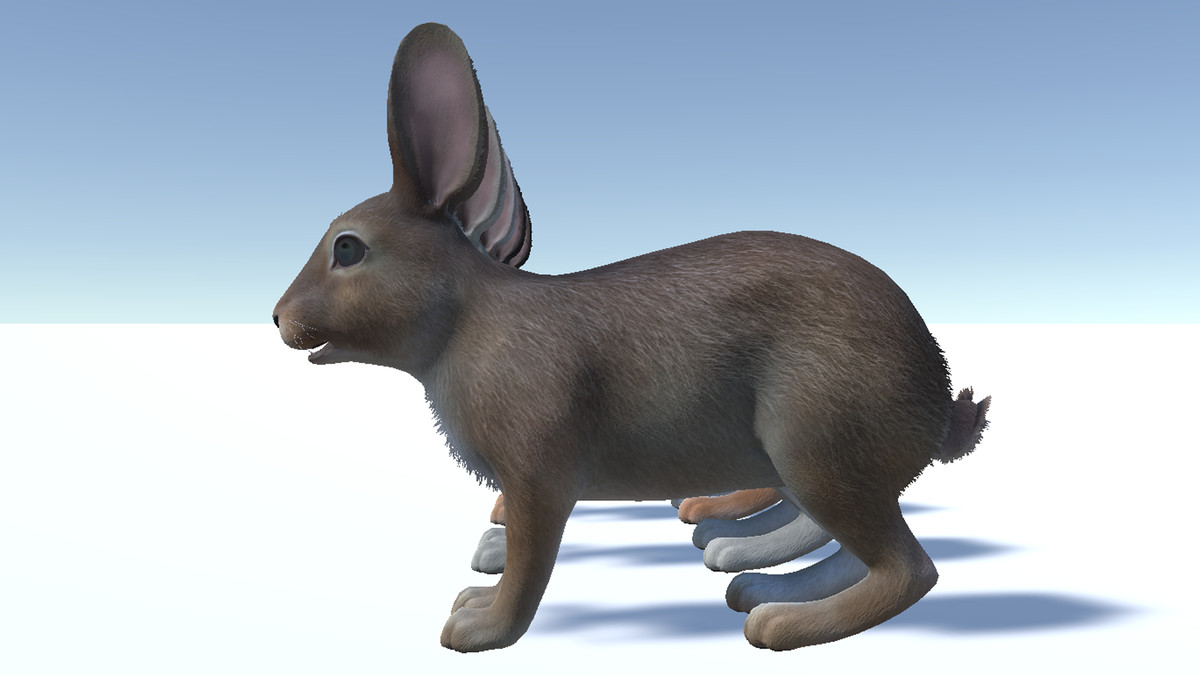 Rabbit Family
