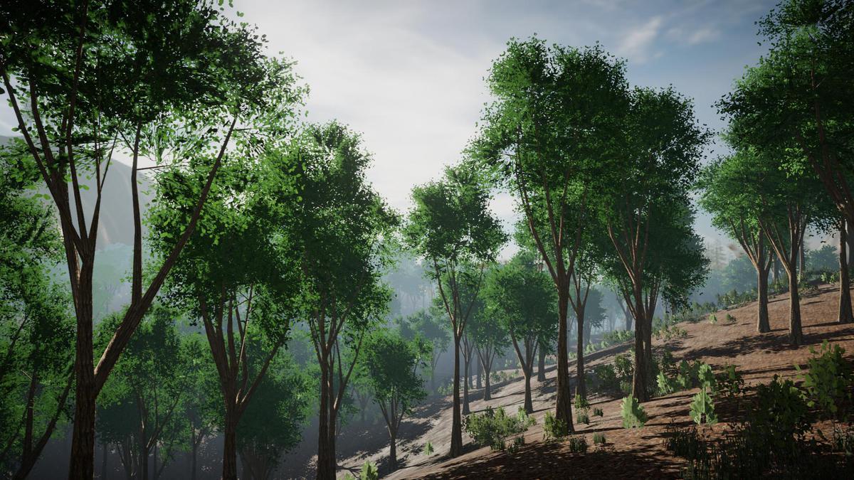 Asset Screenshot 7