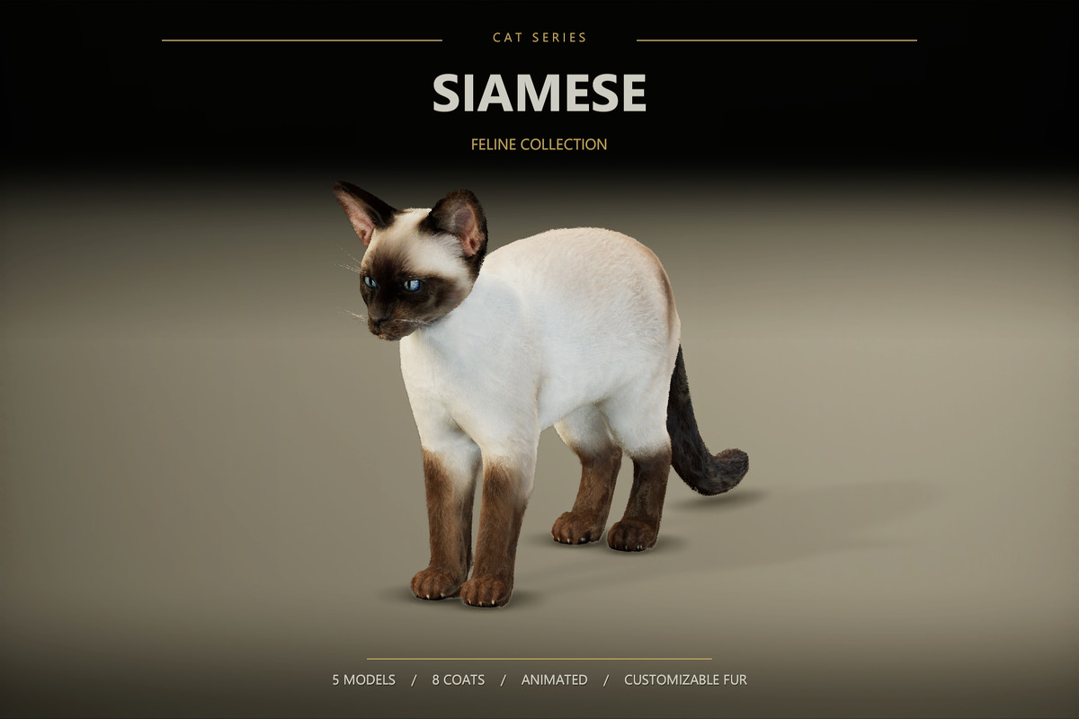 Feline Collection – Realistic Animated Cats with Customizable Fur
