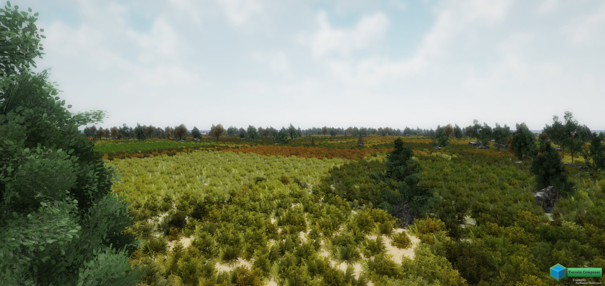 Asset Media