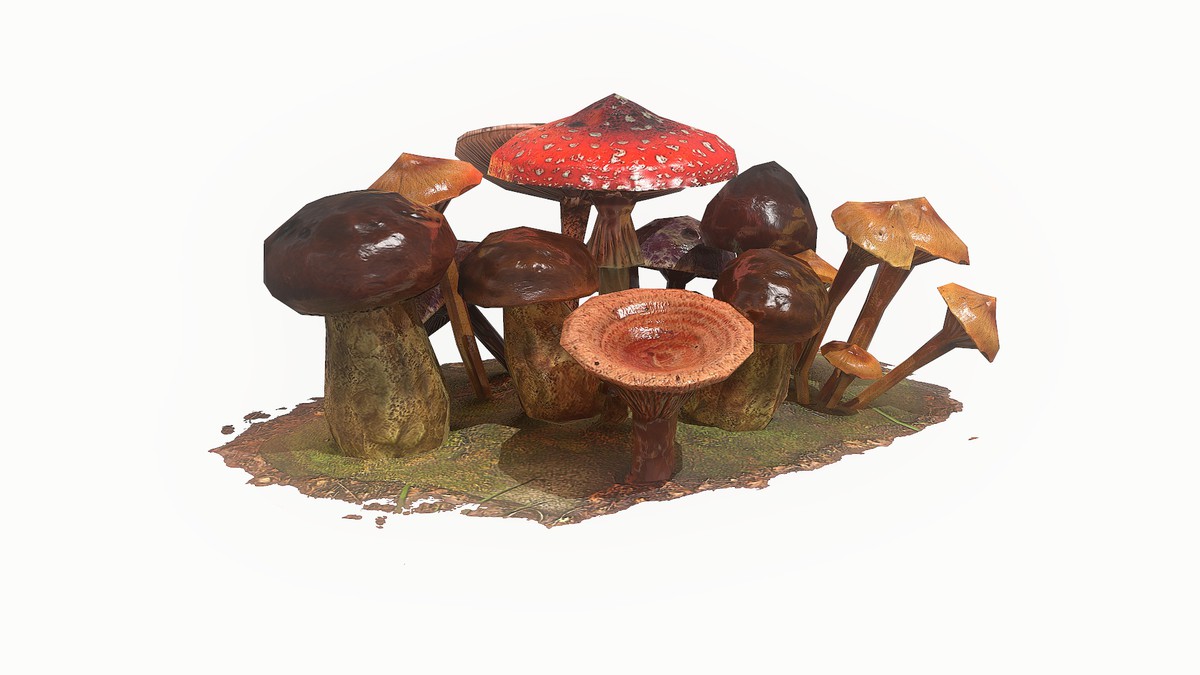 Mushrooms