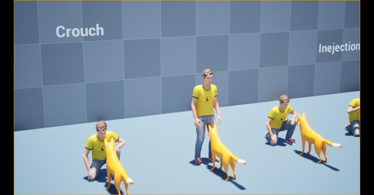 Dog Command Animation