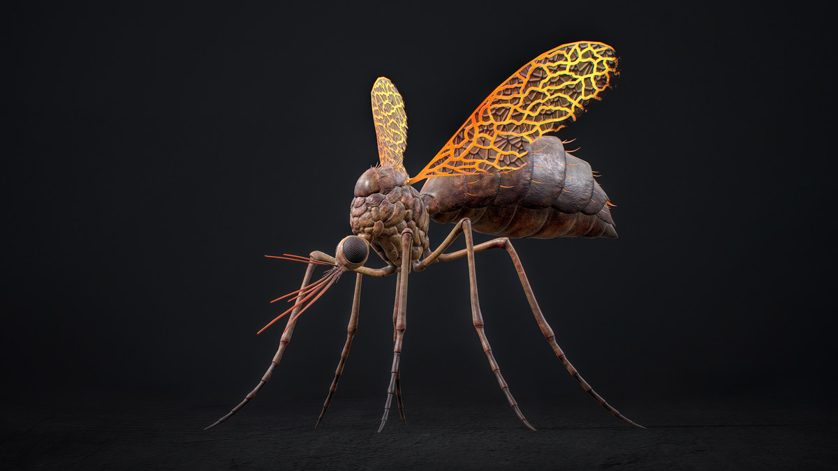 Mosquito Queen Boss - Fantasy Magic Mosquitoes
