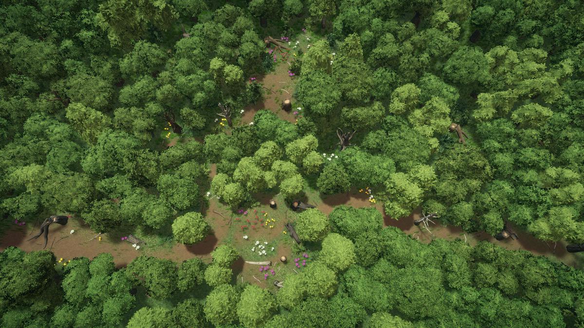 Stylized forest environment