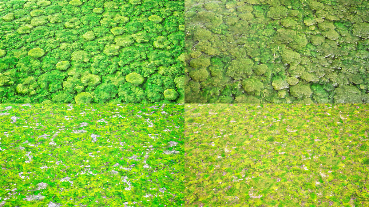 Stylized Materials - Moss 1