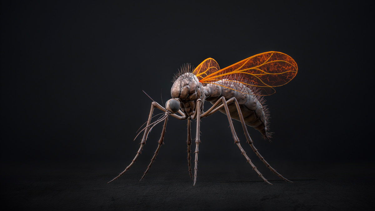 Mosquito Defender - Fantasy Cave Mosquito Creature