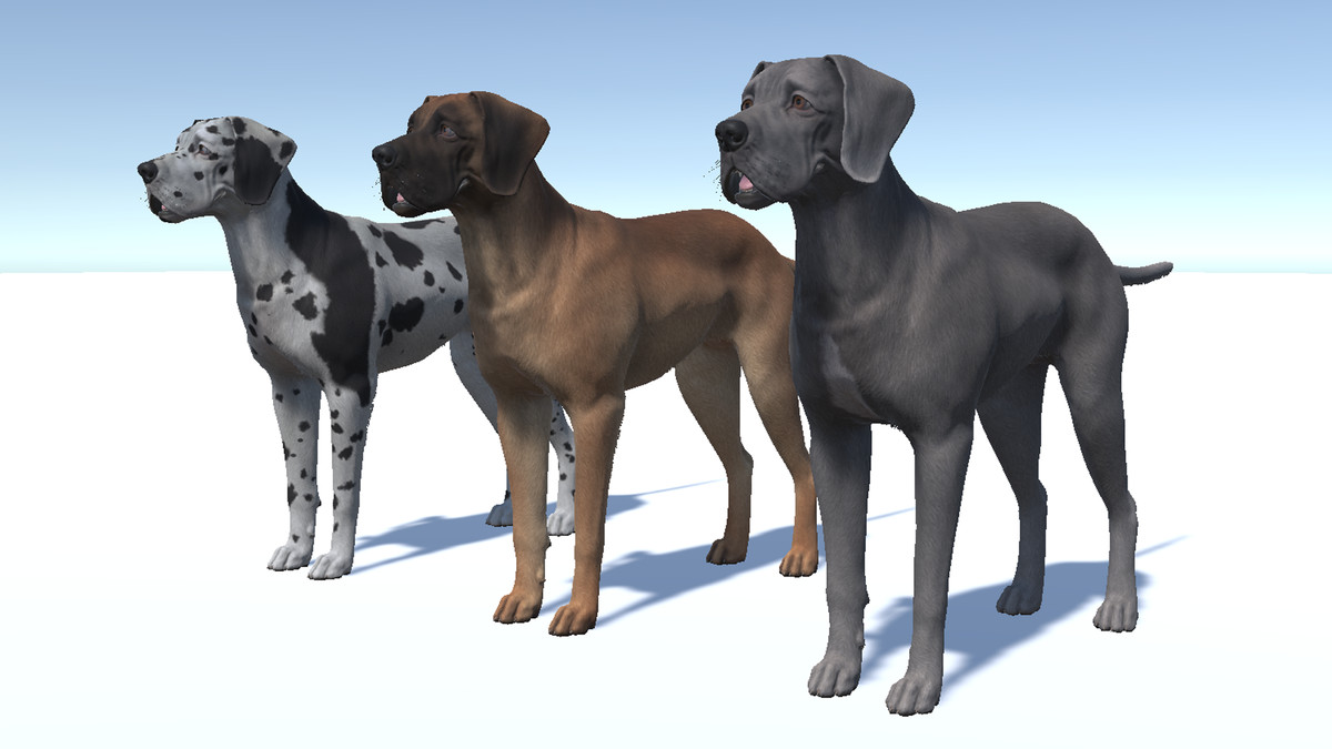 Dog - Great Dane