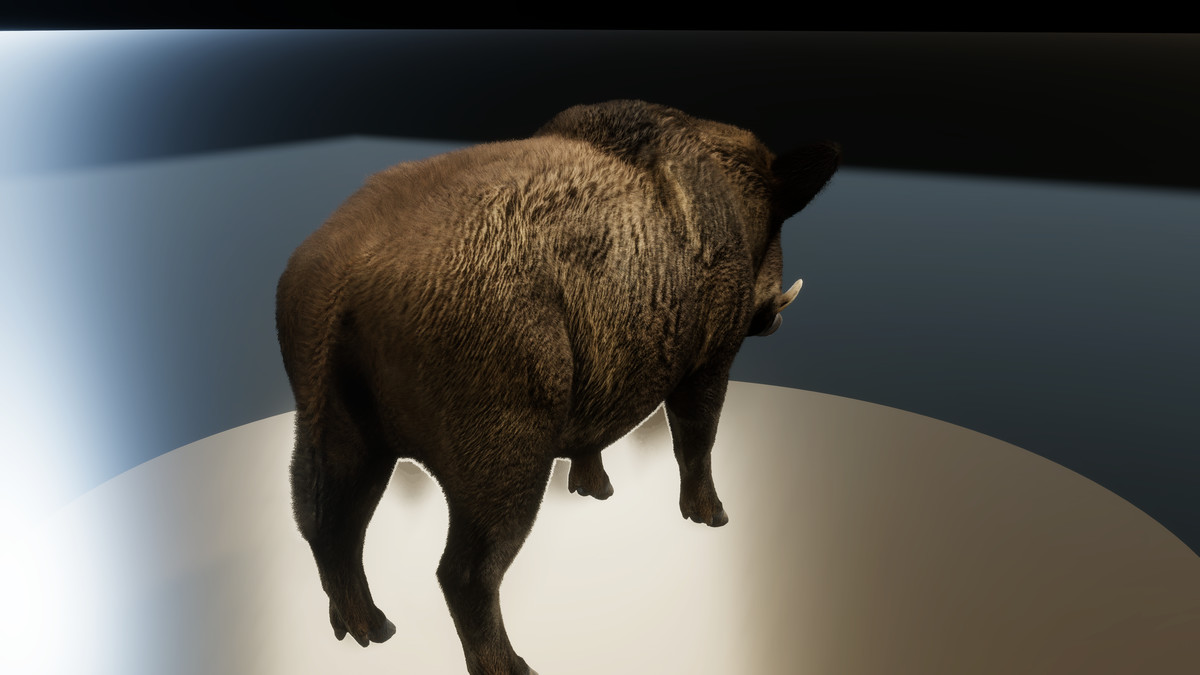 Forest Predators Collection - Realistic Animated Animals