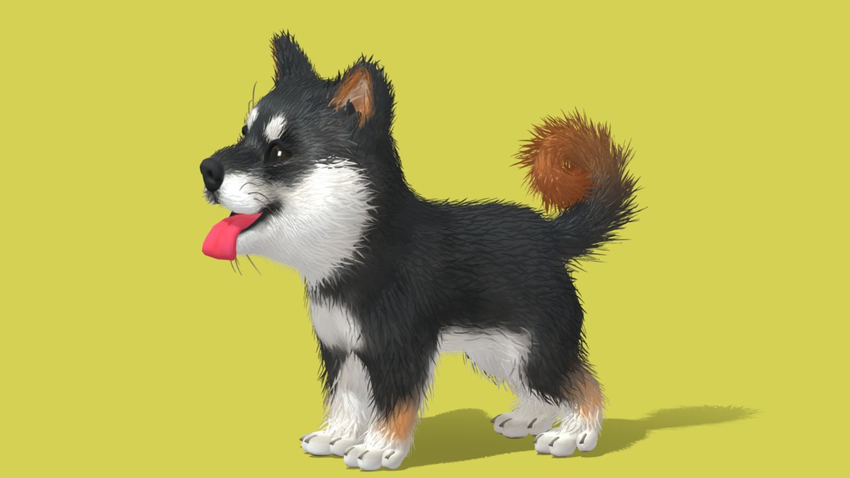 Cute Dog - Shiba Inu