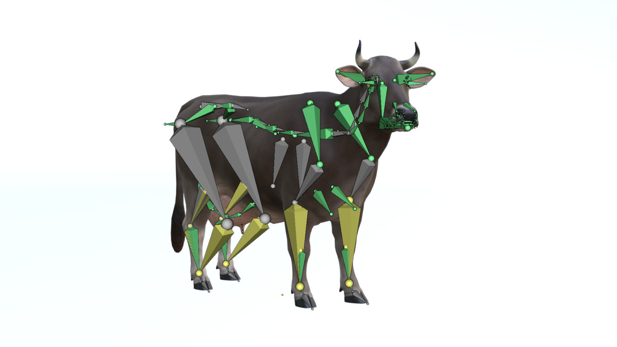 Braunvieh Cow