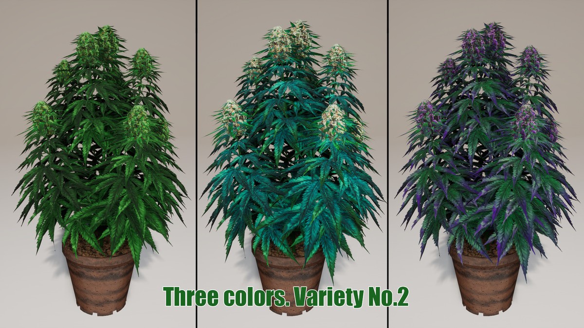 Drugdealer Game 3D Complete Pack