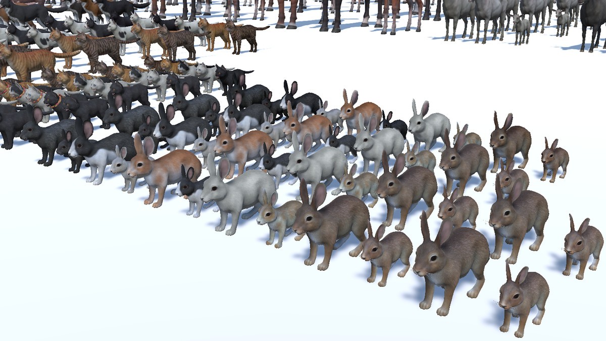 DOMESTIC ANIMAL PACK