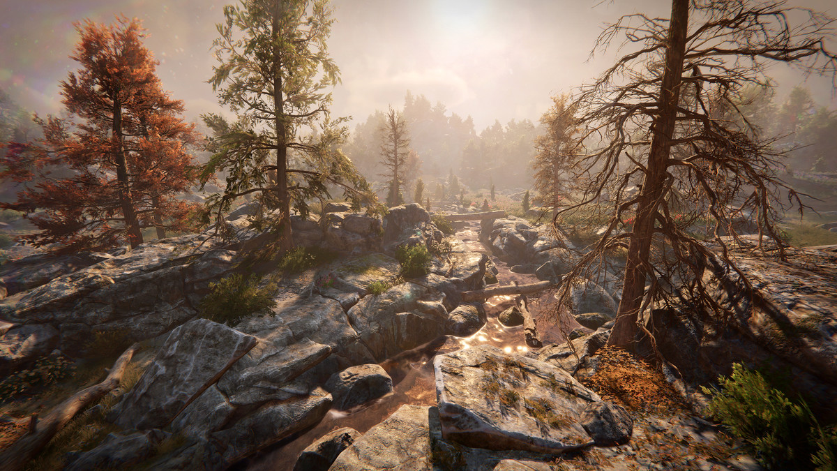 Juniper Pack - Toby Foliage Engine Assets
