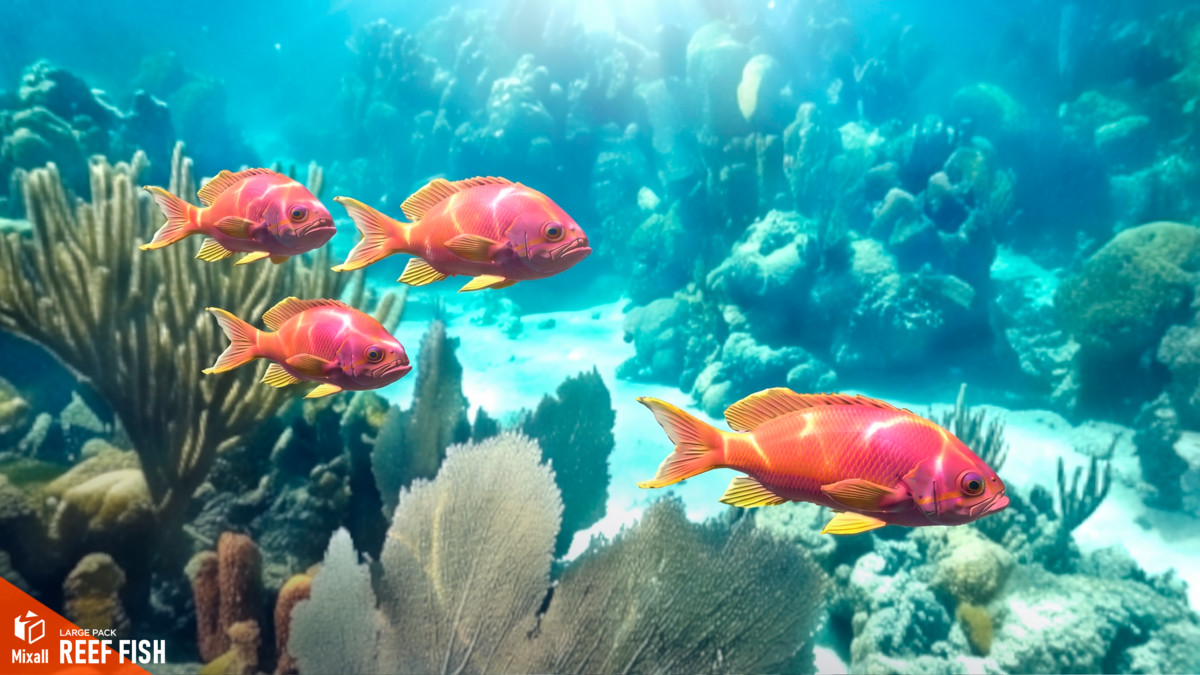 Reef fish - large pack
