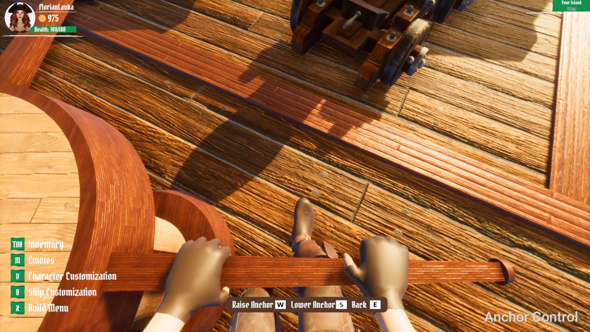 Pirate Multiplayer Game Template (MMO)