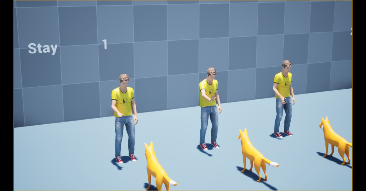 Dog Command Animation
