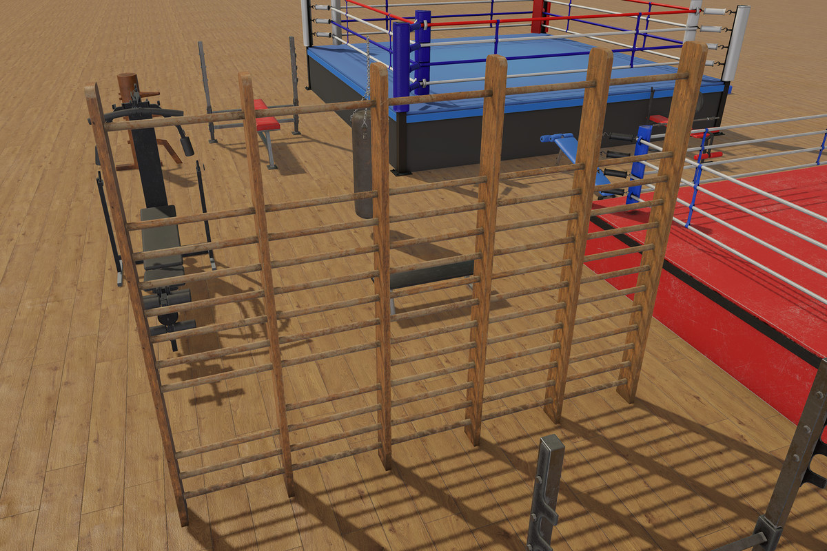 Boxing and Gym Equipment