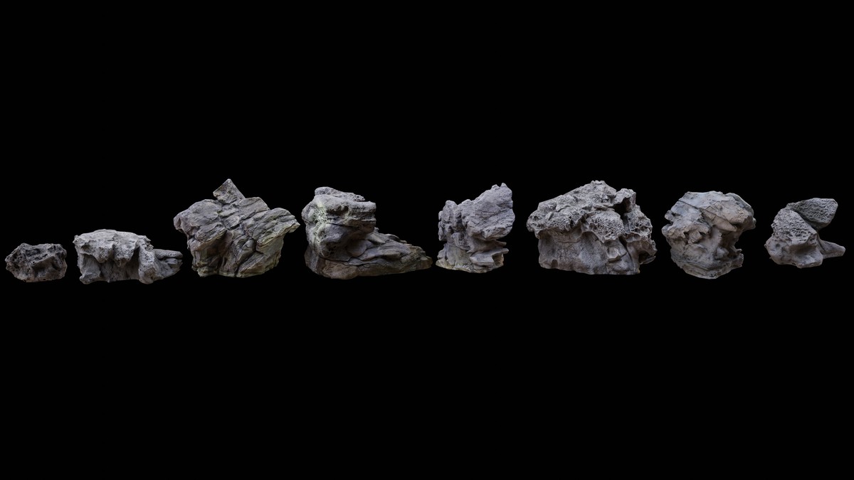 Mushroom shore rocks volume one Photogrammetry PBR 4K
