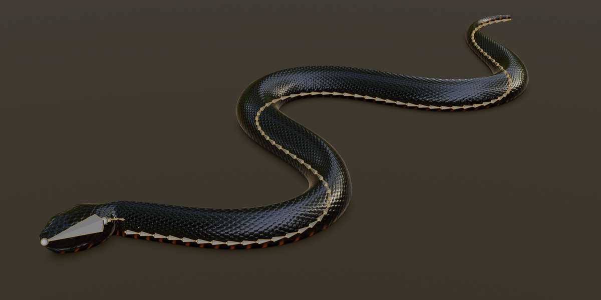 Animated snake pack