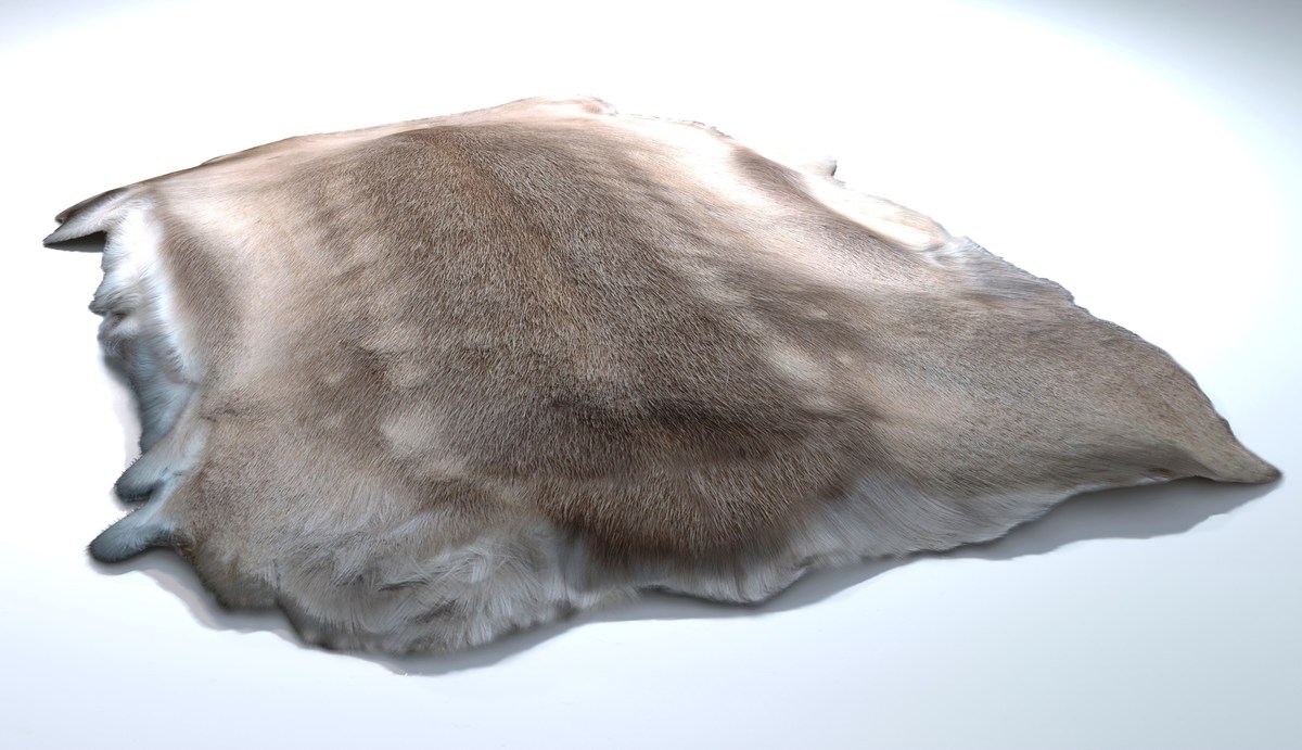 Animal pelts volume 4: giraffe, wolf, stag, reindeer, sheep, bull, bison 4k