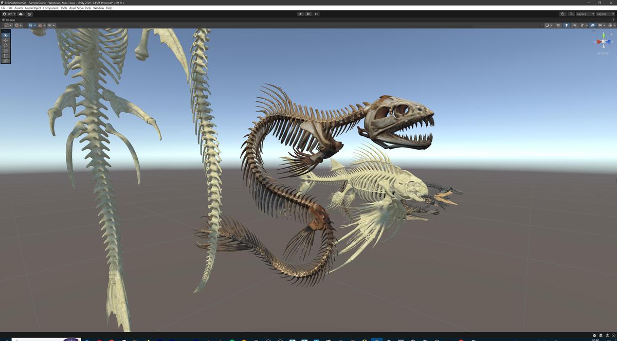 Fish and Underwater Creatures Skeleton Collection – Marine Bone 3D Asset Pack