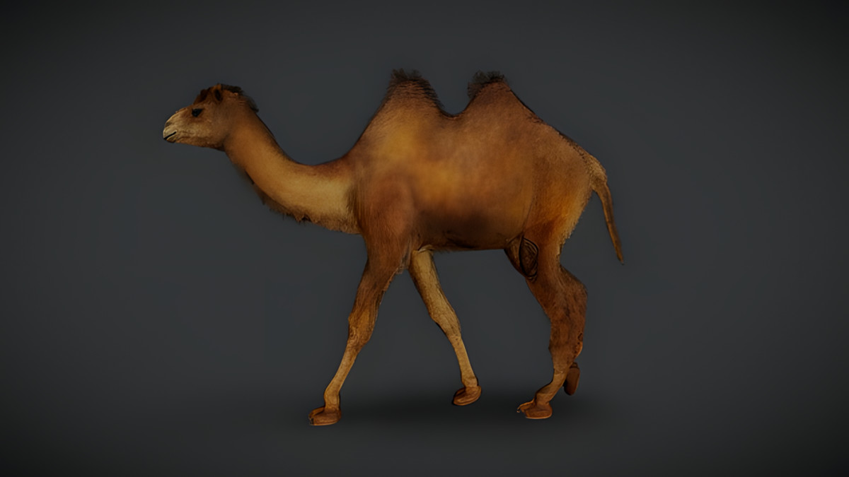 WILDPOLY - Animated Animals – Realistic Pack