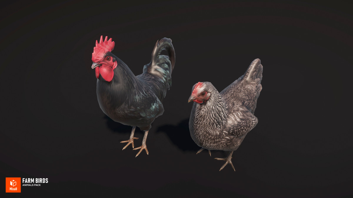 Farm birds - animals pack