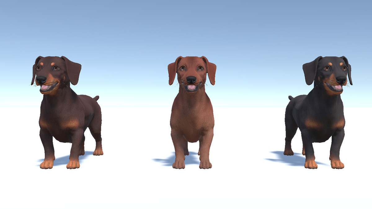 Dog -- Dachshund