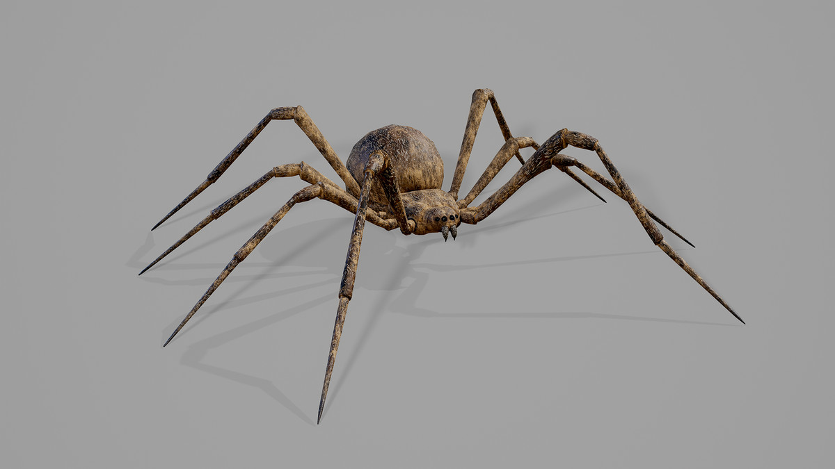 Stylized Spider_2_7 Skin Variants Pack