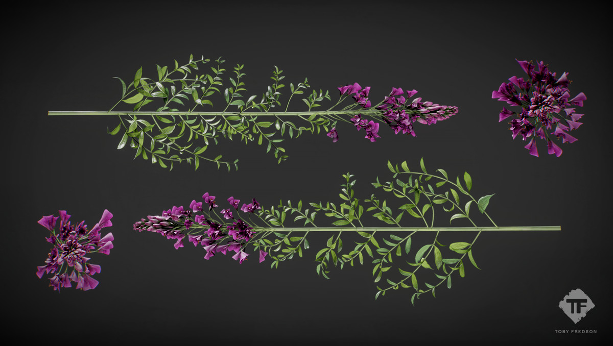 Juniper Pack - Toby Foliage Engine Assets