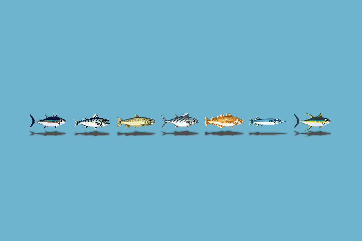 2D Ocean Fish Pack