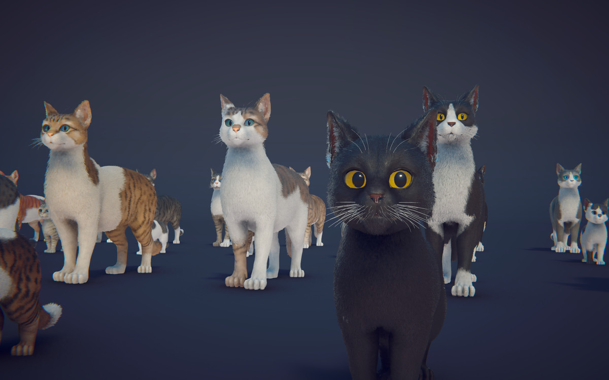 Milo the Cat