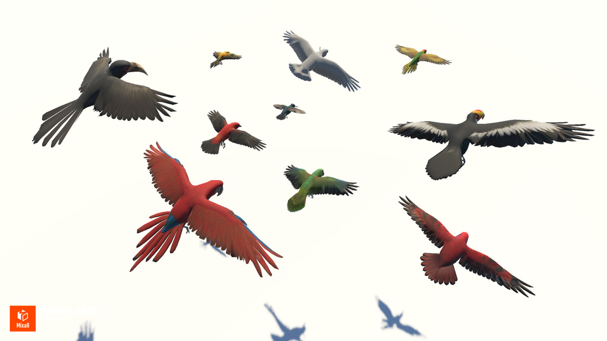 Tropical birds - animals pack