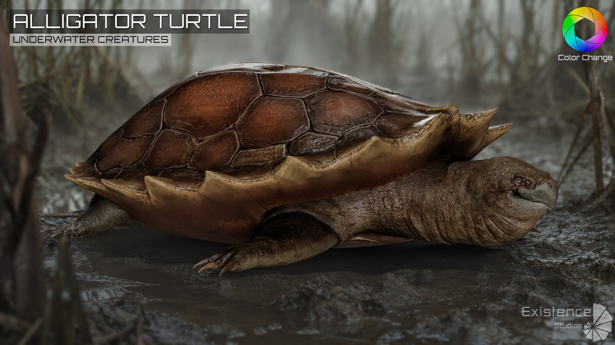 Alligator Turtle Predator - Animated Realistic Underwater Reptile