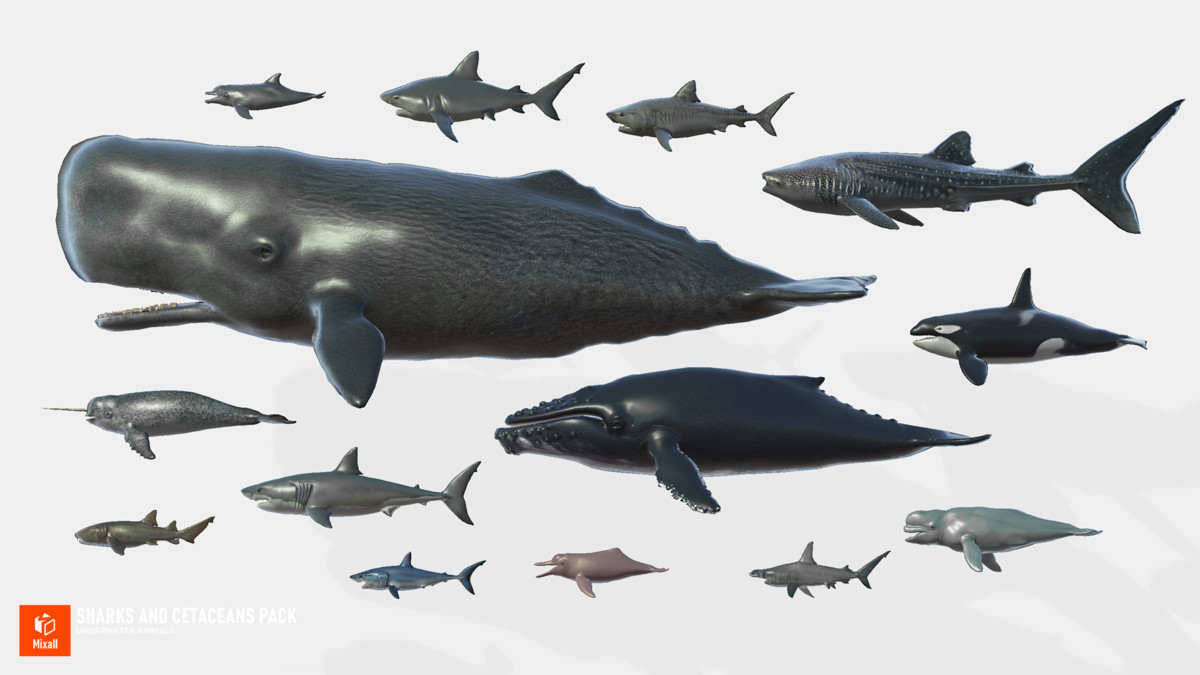 Sharks and Cetaceans Pack