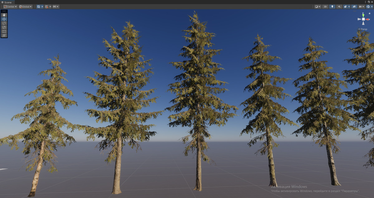 Spruce Trees