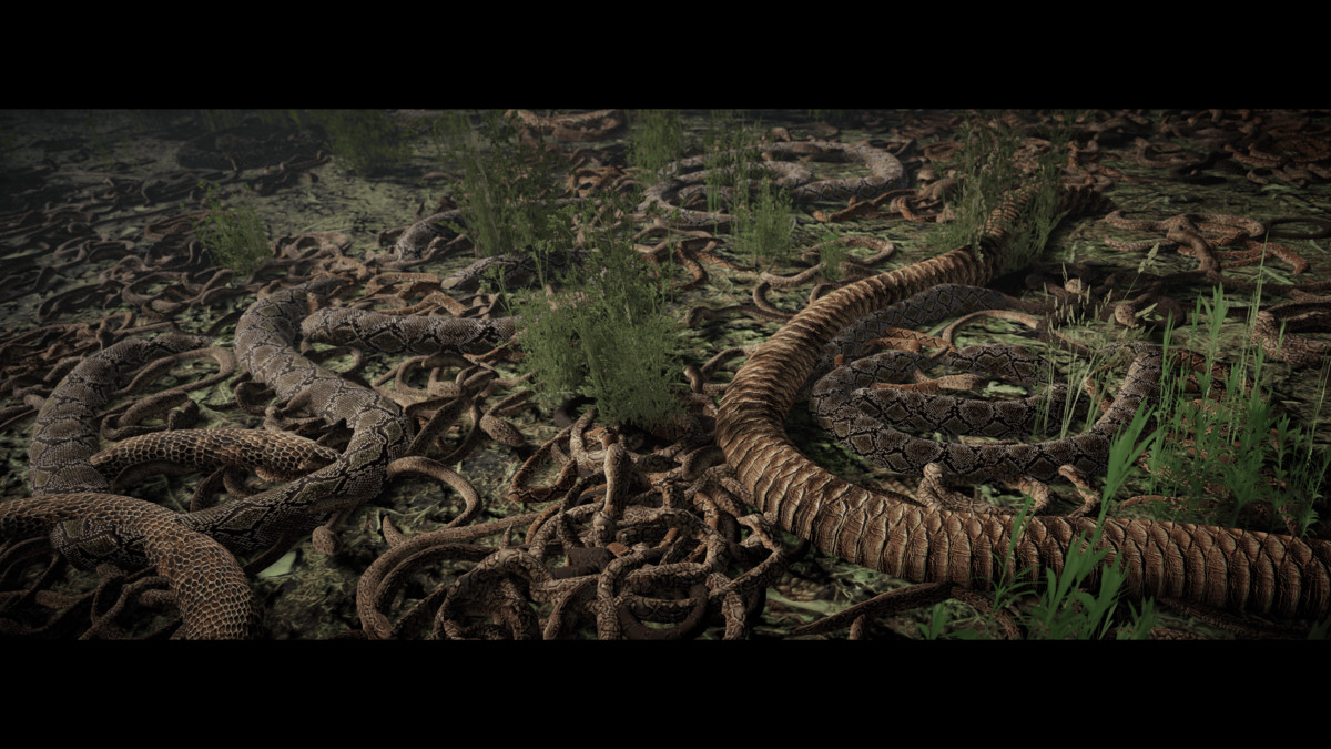 Slither Aplenty