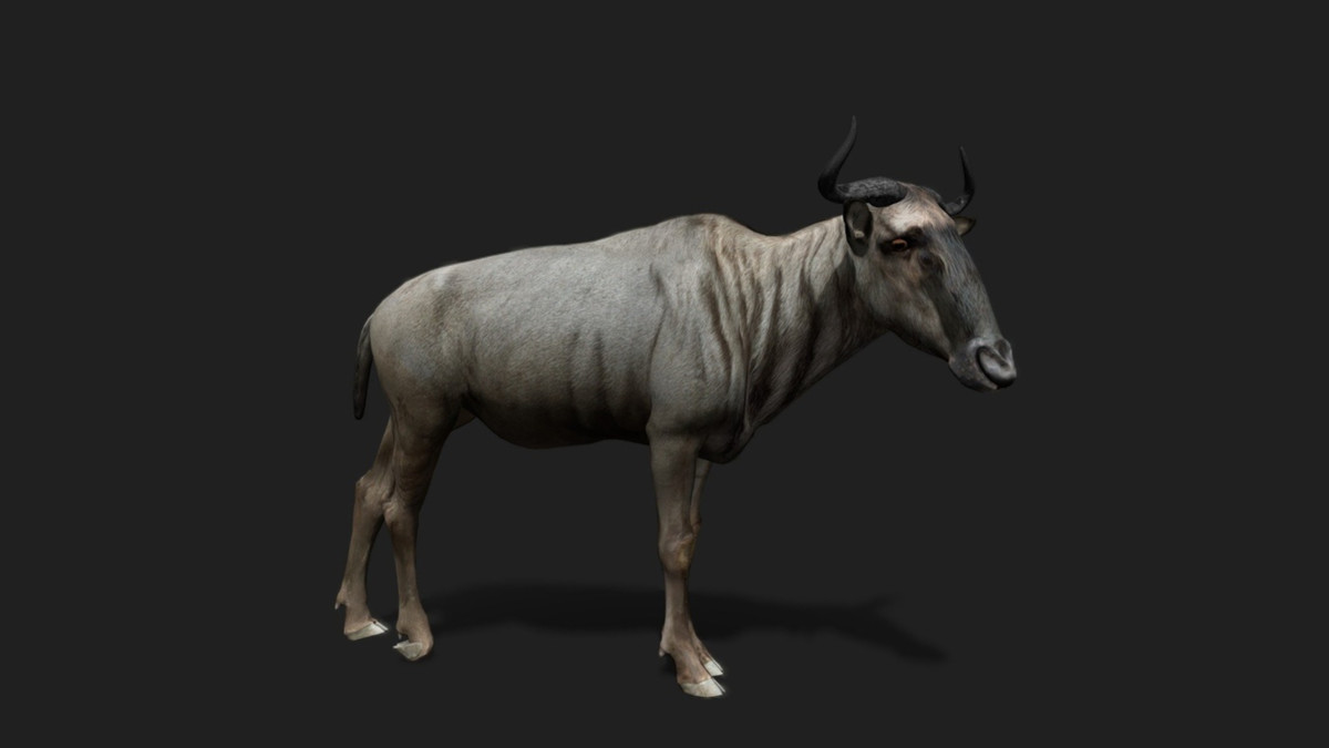 WILDPOLY - Animated Animals – Realistic Pack
