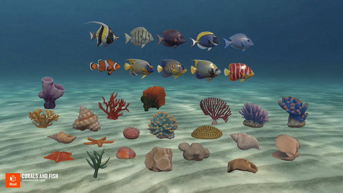 Corals and fish - underwater reef