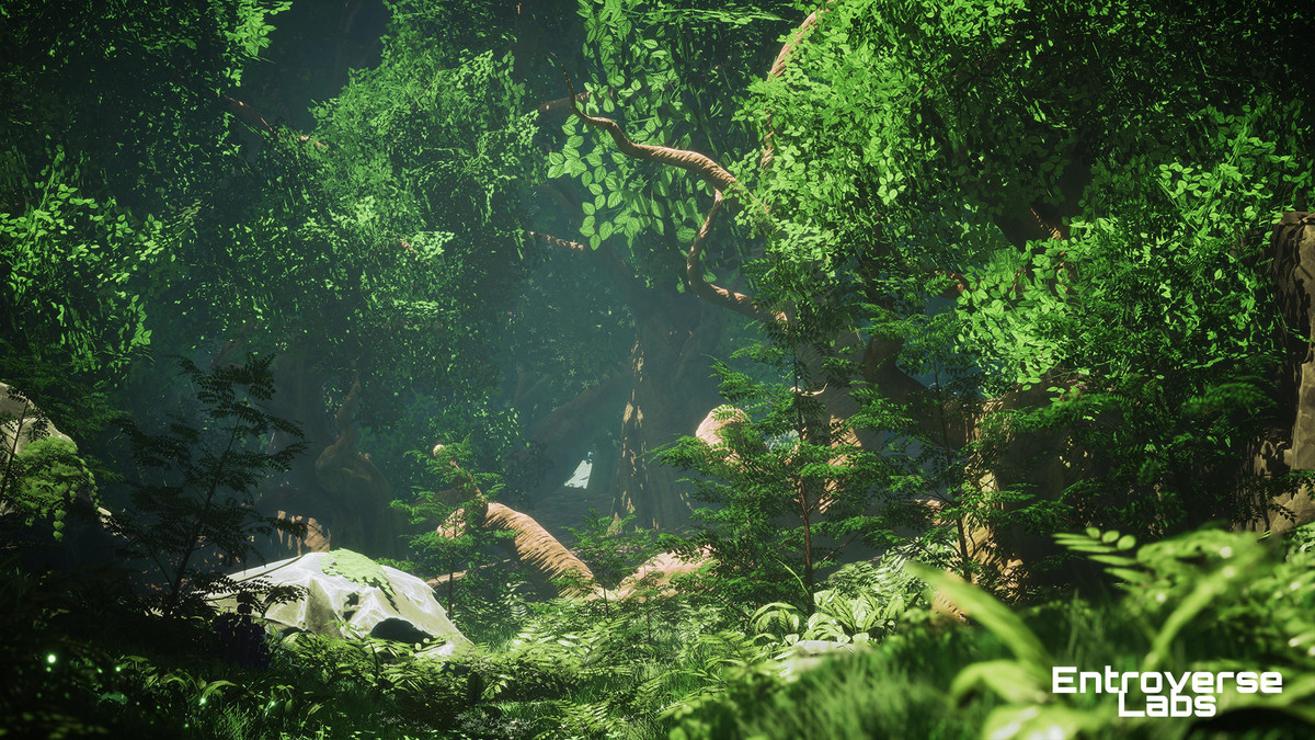 Whispering Grove Environment