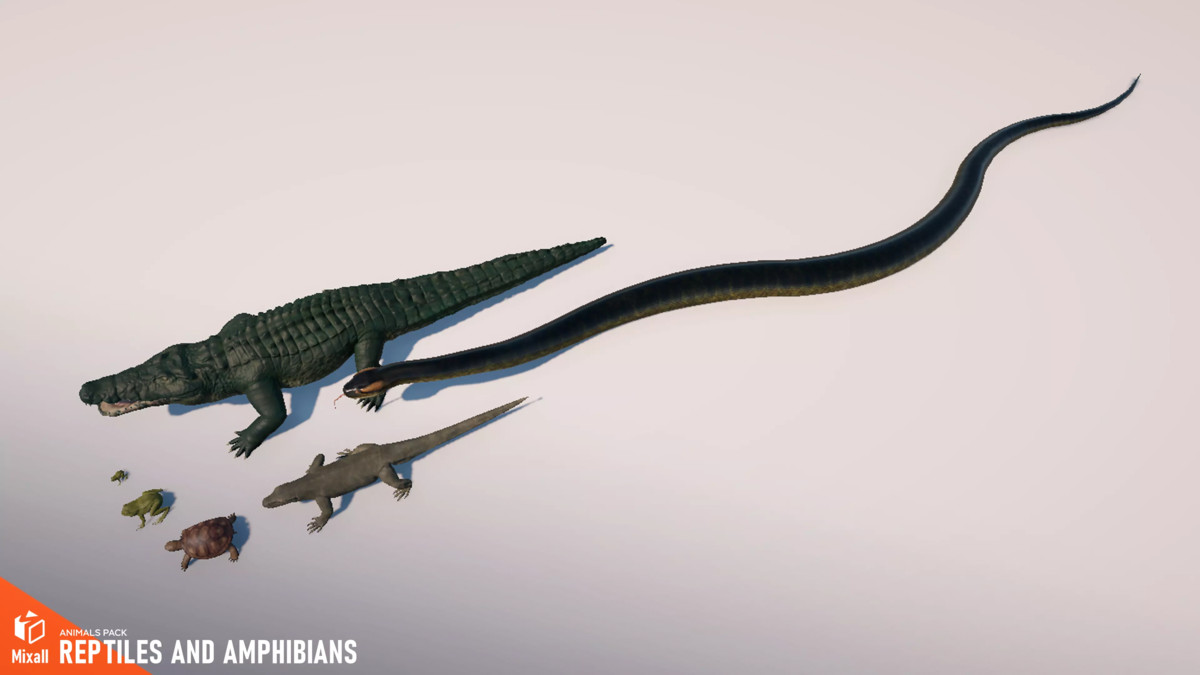 Animals pack - birds, reptiles and others