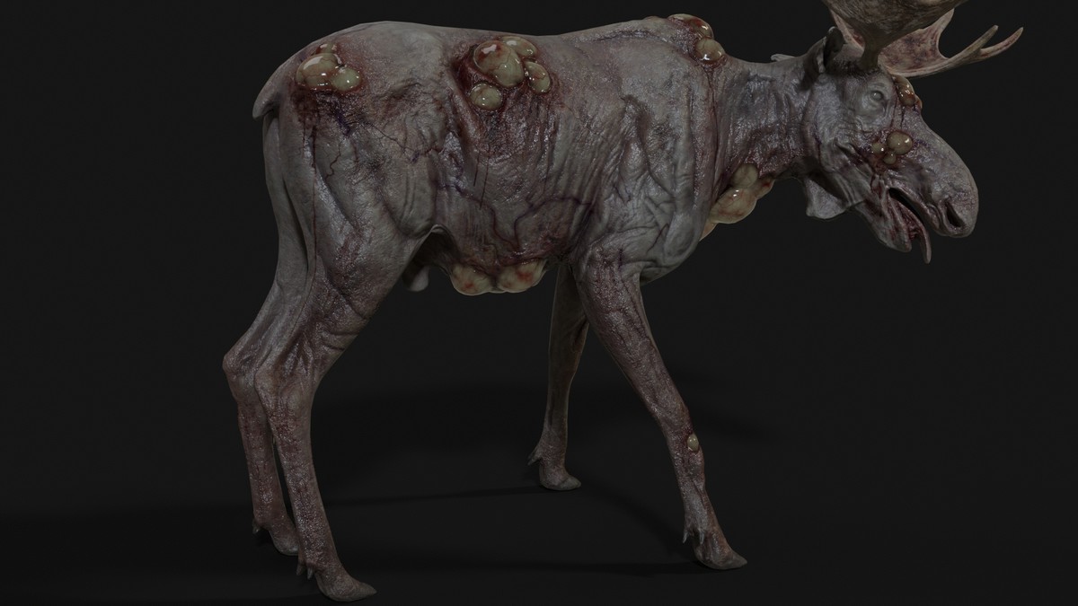 Rot Moose