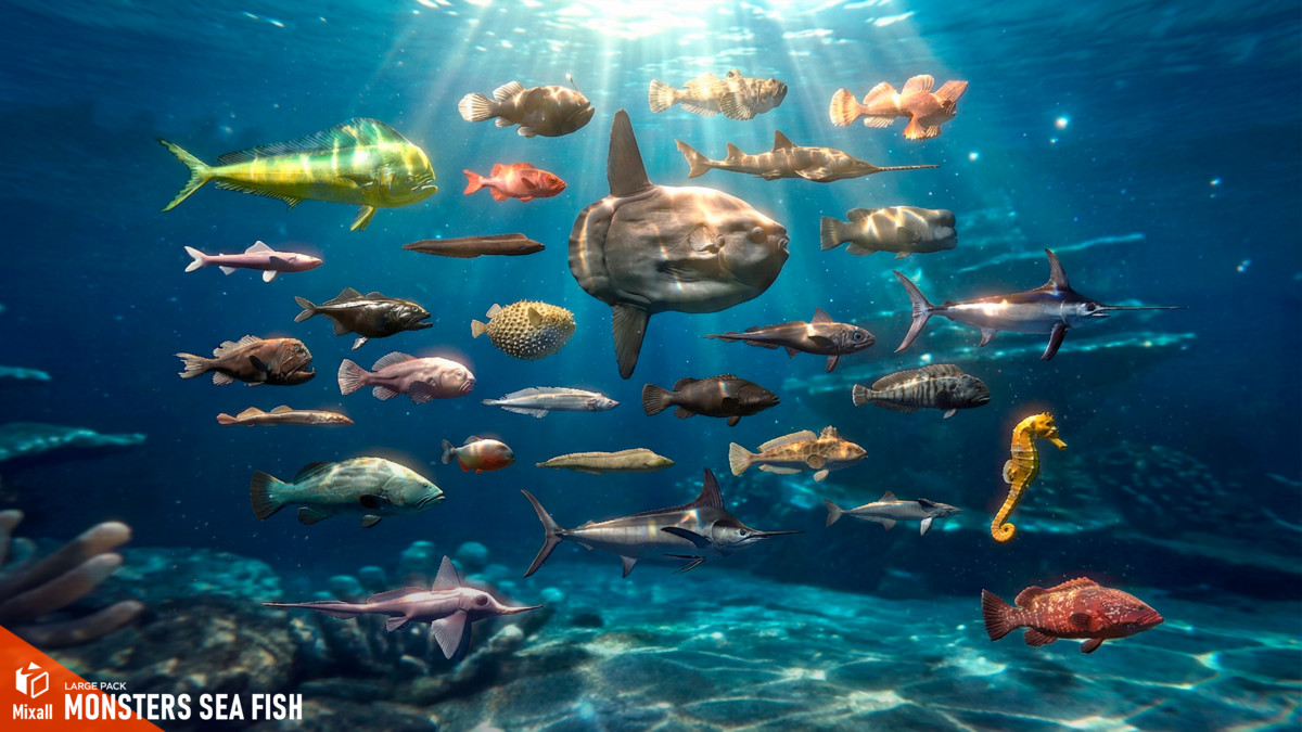 270 fish - Full pack