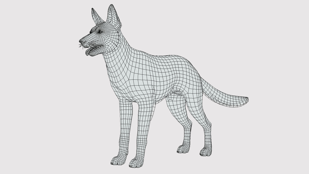 Dog - Belgian Malinois